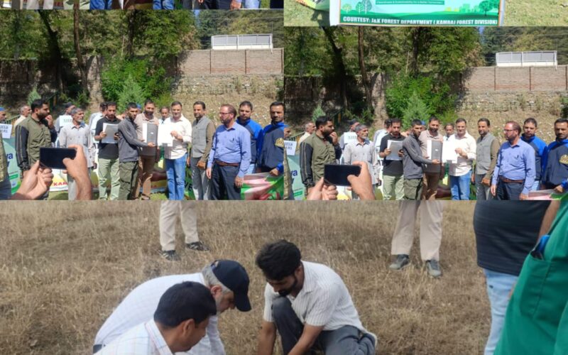 Kupwara Forests Promote Sustainable Timber Use and Industrial Greening under SEWA PARV